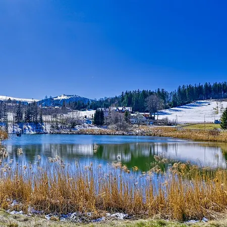 Royal Aparts Gorski Bawaria Iii 公寓